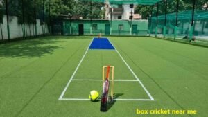 Best Box Cricket Near Me
